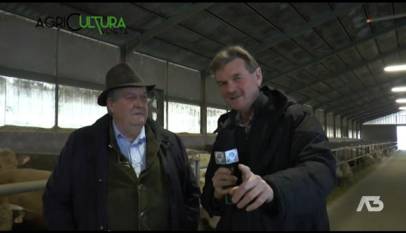 AGRICULTURA VENETA  | 20/02/2022 20:02