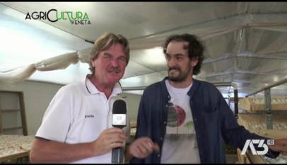 AGRICULTURA VENETA  | 19/06/2022