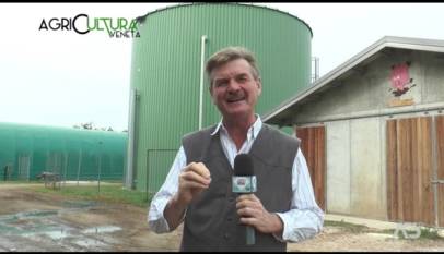 AGRICULTURA VENETA  | 09/10/2022