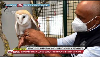 A3 NEWS VENEZIA | 20/10/2022