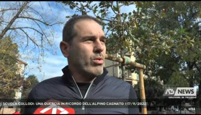 TREVISO | SCUOLA COLLODI: UNA QUERCIA IN RICORDO DELL'ALPINO CAGNATO