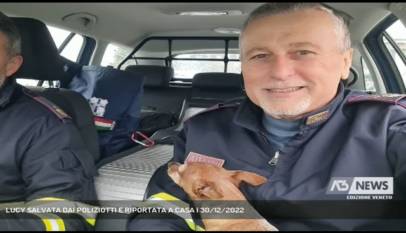 PADOVA | LUCY SALVATA DAI POLIZIOTTI E RIPORTATA A CASA