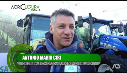 AGRICULTURA VENETA  | 18/12/2022