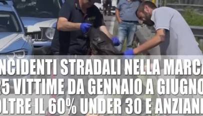 GZKjEfLiNYE