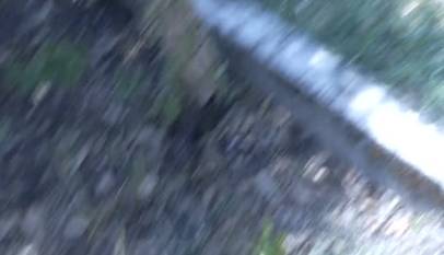 UJa28CIDNWg