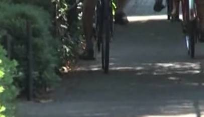 SjfowhMx1zg