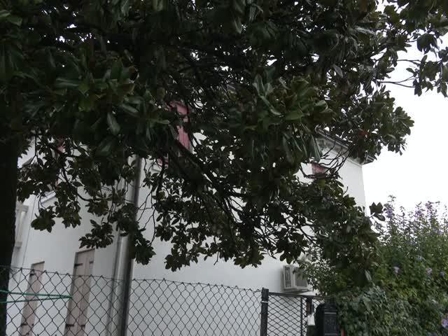 7btixuVbJ1E