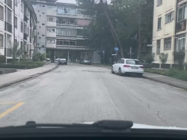 7mV_ZW5Xlf8