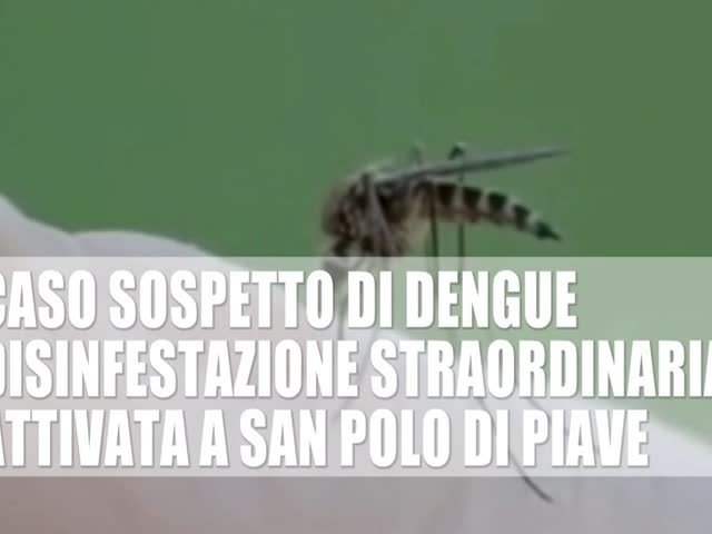 vLzb3LdmMVg