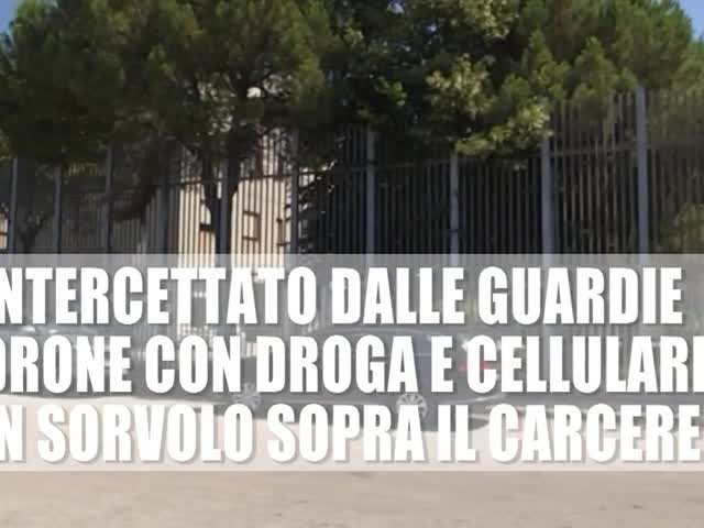 6aqrtqFsiso
