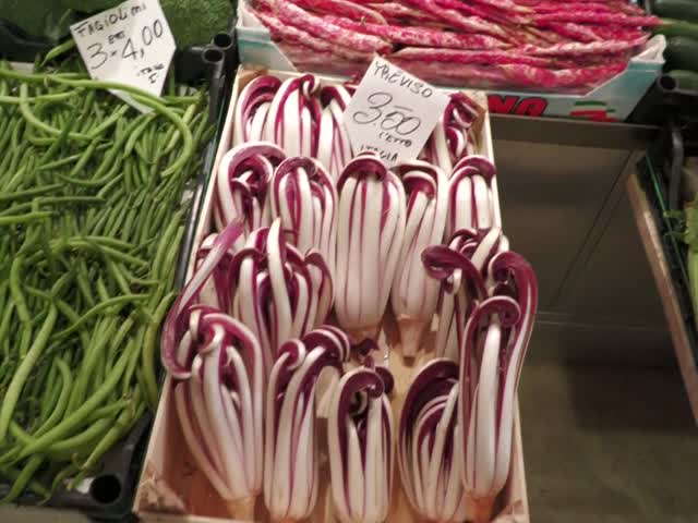 e1ZZPPMv9Gs